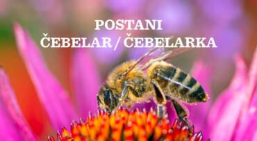 Postani čebelar / čebelarka